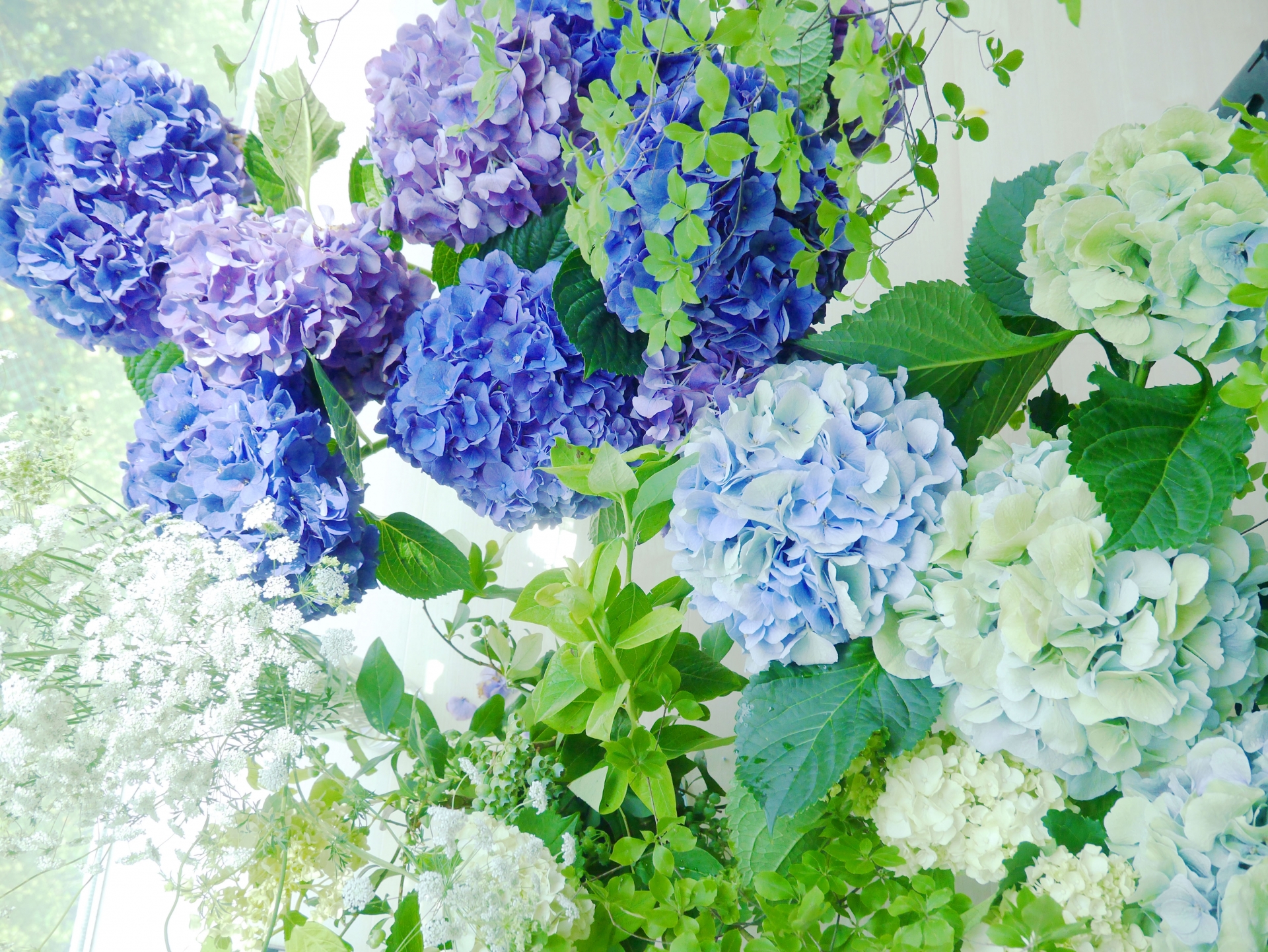 40��̂��ꂳ�񂪂�����Ċ�������