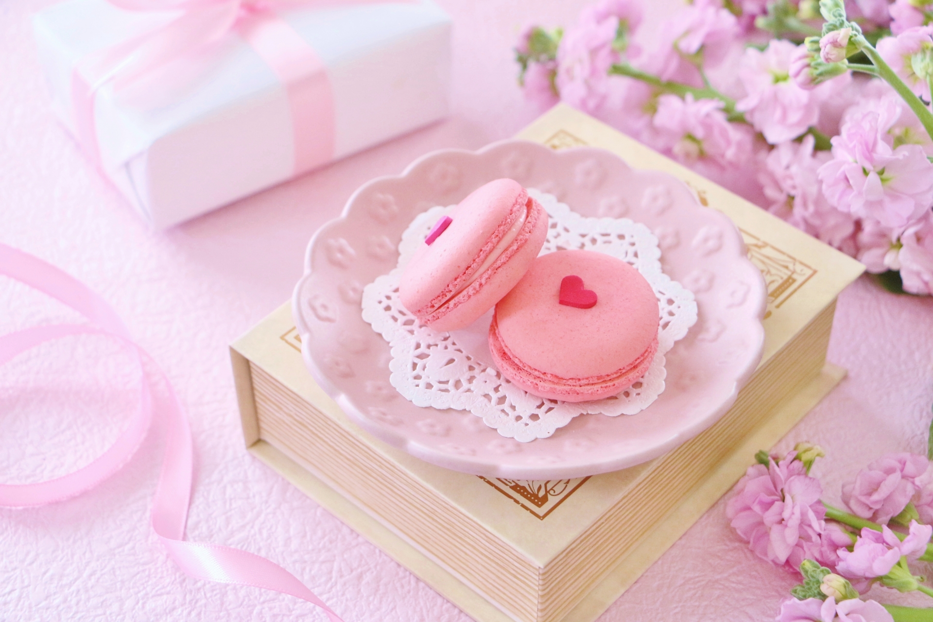 40��̂��ꂳ�񂪂�����Ċ������X�C�[�c�E���َq