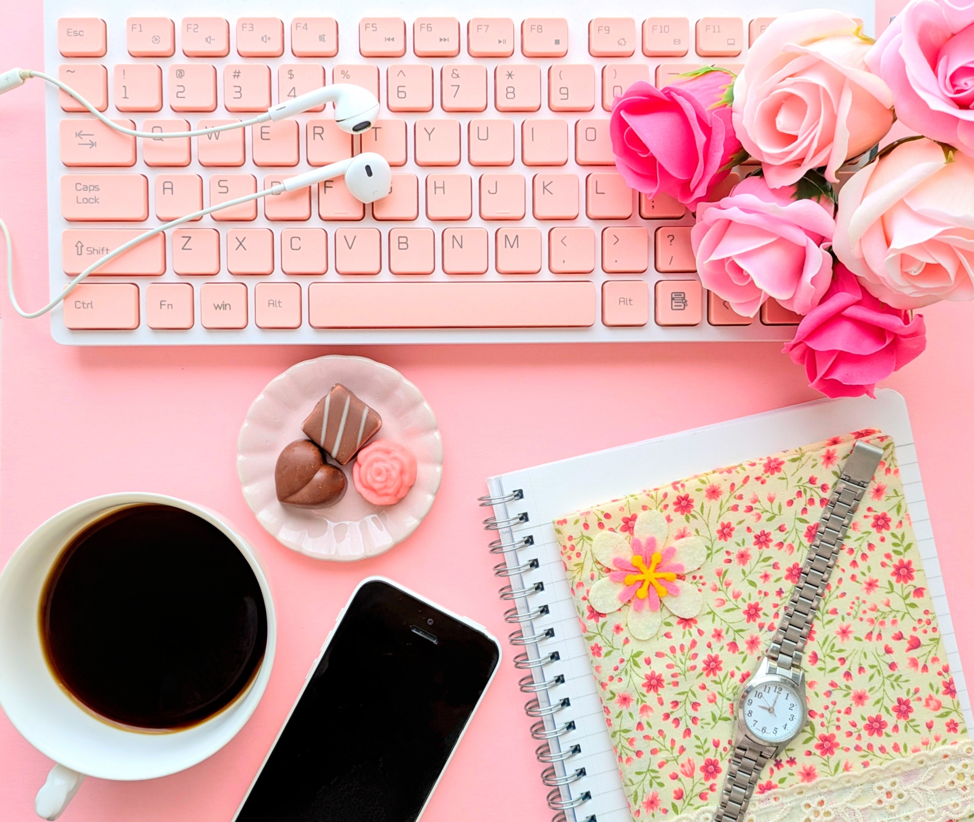 50��̂��ꂳ�񂪂�����Ċ������G�݁E����