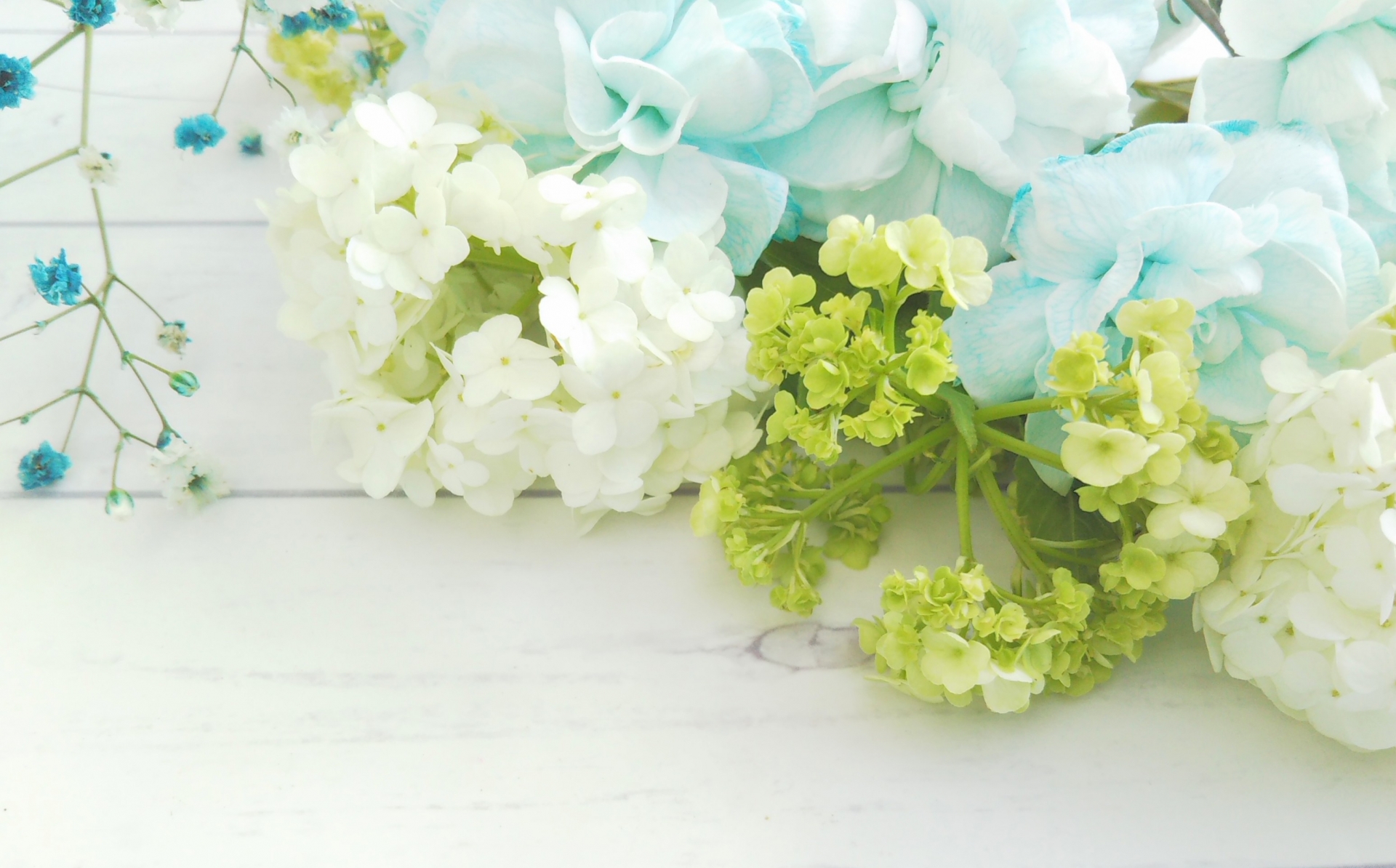 60��̂��ꂳ�񂪂�����Ċ�������