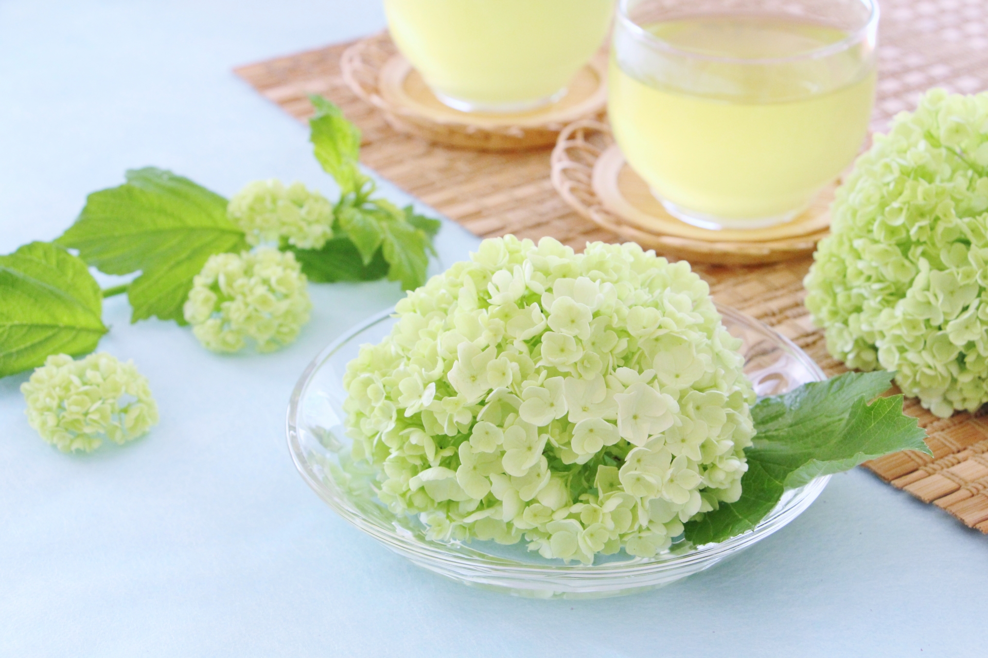 80��̂��ꂳ�񂪂�����Ċ����������E�h�����N