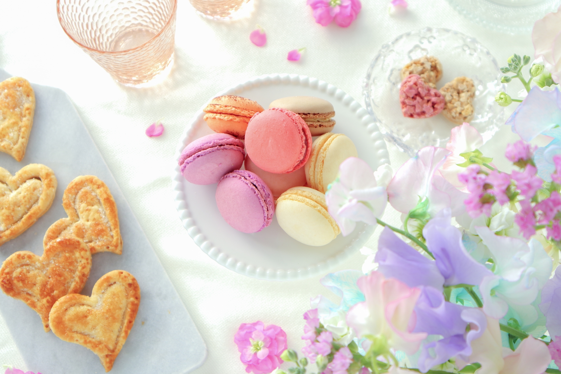 ���������ЂƂƂ� �X�C�[�c�E���َq