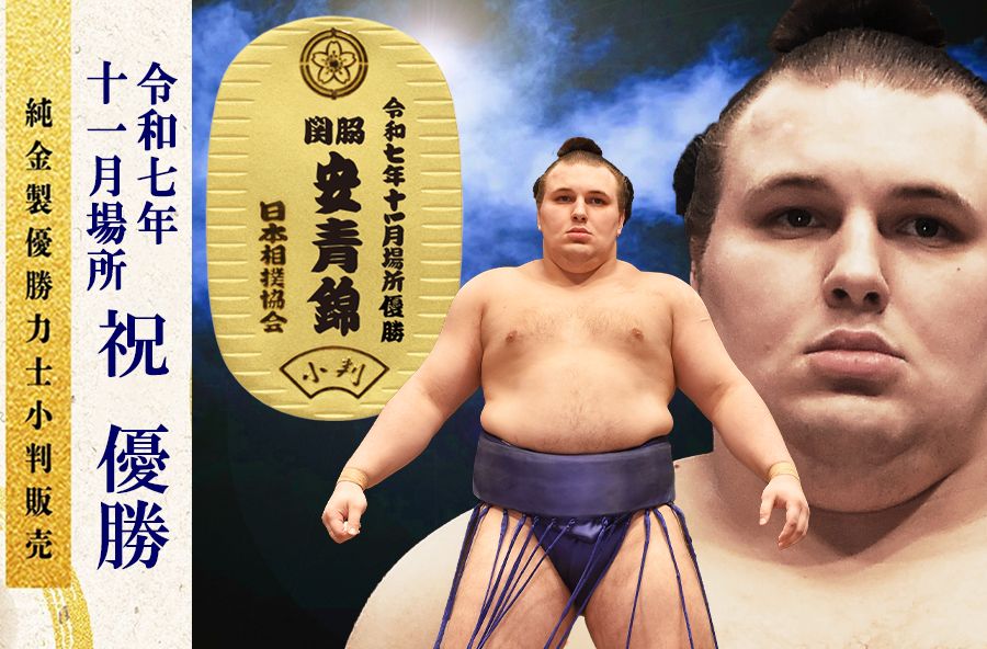 切手大好きさん専用★エコーはがき600枚セットその４ 切手大好きさん専用☆エコーはがき600枚セットその4 Amazon | 府県版