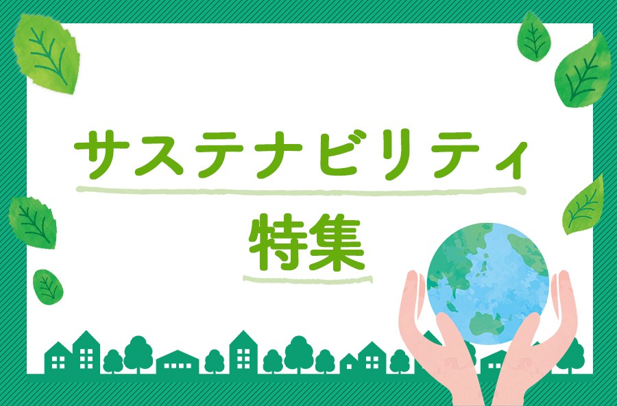 �T�X�e�i�r���e�B���W