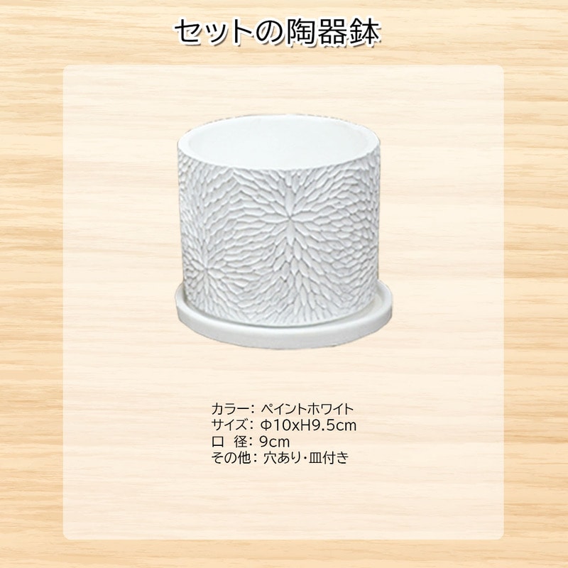 CS9987300047