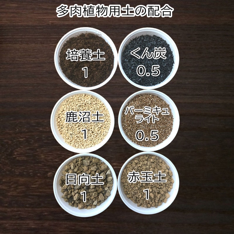 多肉植物用 6号鉢 植え替え土セット｜郵便局のネットショップ