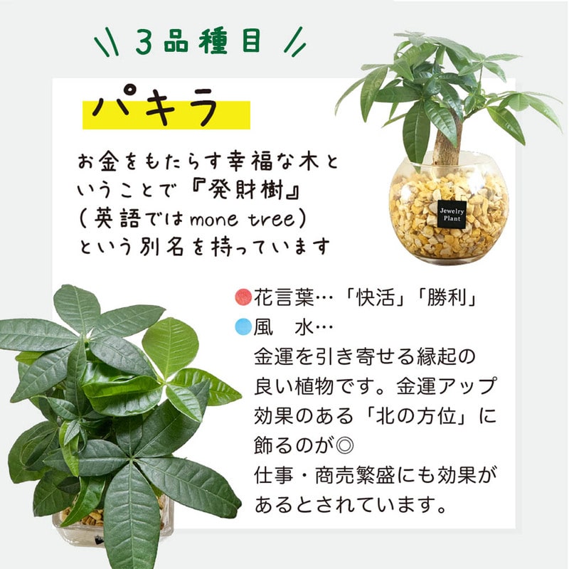 CS9987300018