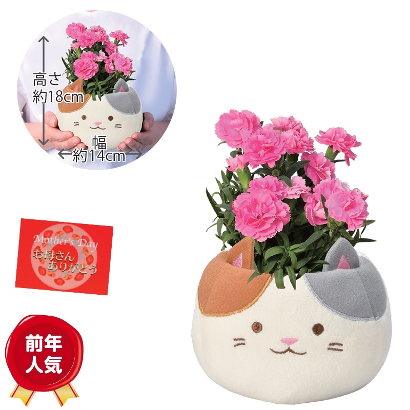 �O�єL�J�[�l�[�V����