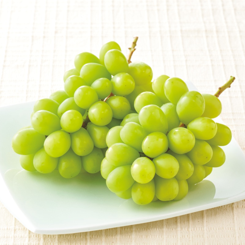 �V���C���}�X�J�b�g�@�P�����i�Q�[�j