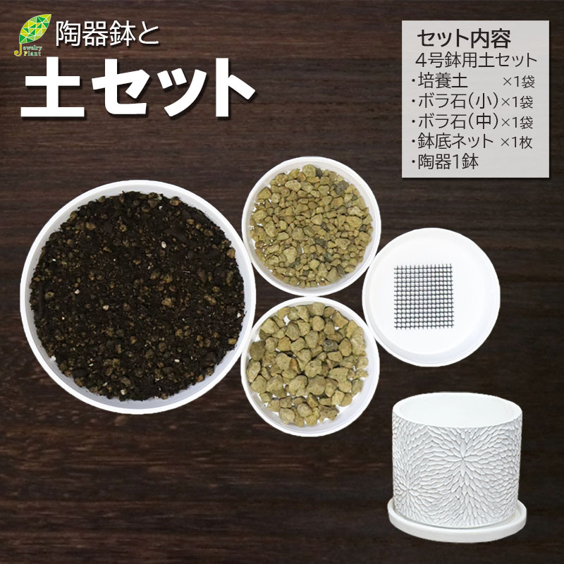 ❤️ みみ❤️さん専用 钵土付き出荷ゆうパック出荷 陶器と植え替え土セット（白筒陶器鉢）｜郵便局のネットショップ