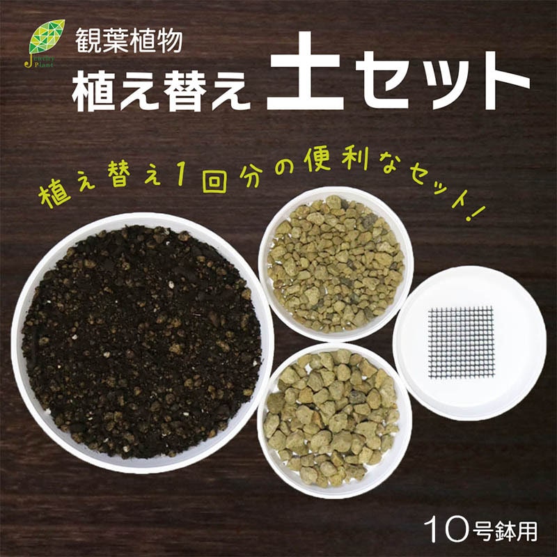 CS9987300058