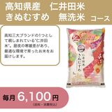 郵便局のWEB定期便 高知県産 仁井田米きぬむすめ 無洗米コース