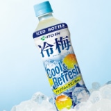 冷梅 24本｜郵便局のネットショップ