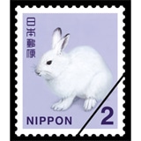 KT43202.jpg