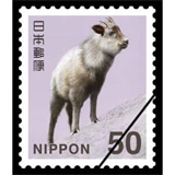 KT43249.jpg