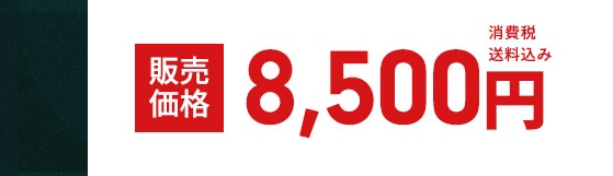 �̔����i 8,500�~ ����ő�����  