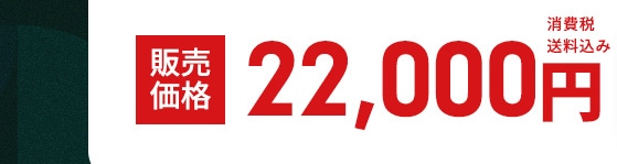 �̔����i 22,000�~ ����ő�����