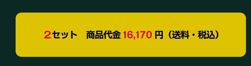 2�Z�b�g ���i��� 16,170�~ (�����E�ō�)