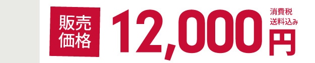 �̔����i 12,000�~ ����ŁE��������