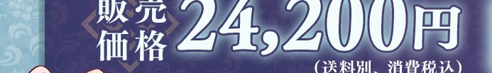 �̔����i 24,200�~�i�����ʁA����ō��j
