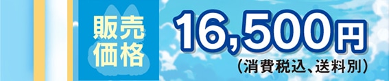 ̔i 16,500~ (ōA)