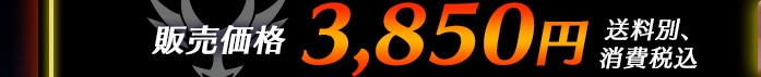 �̔����i 3,850�~ �����ʁA����ō���
