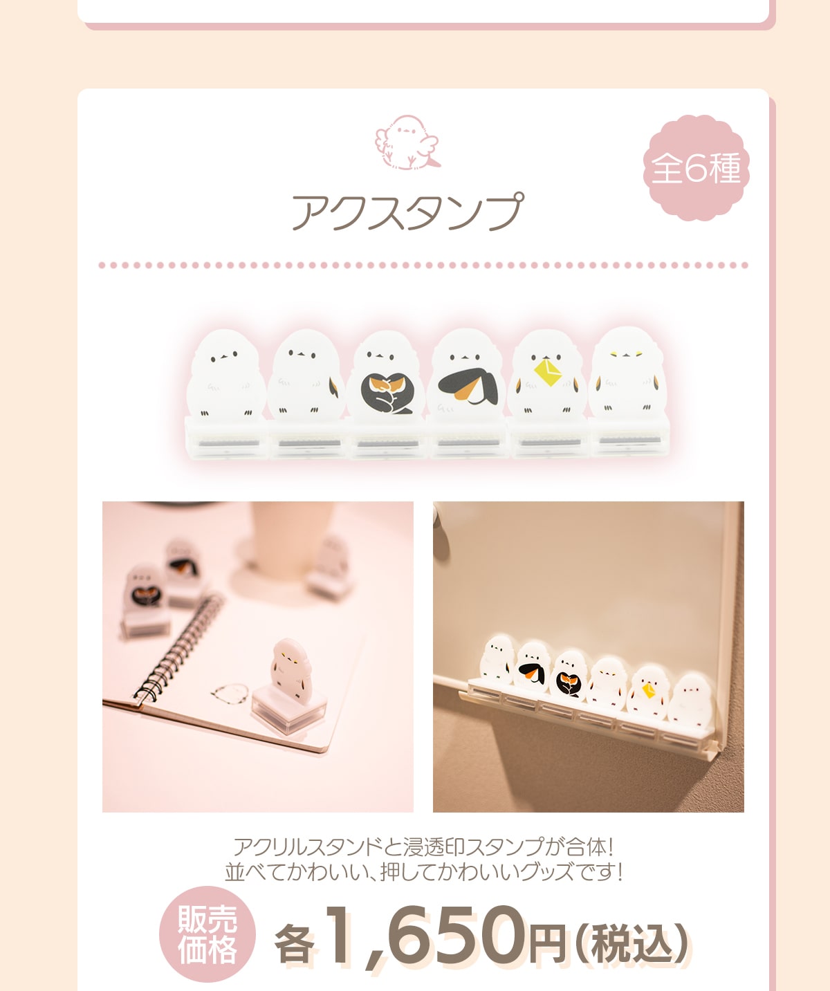 �A�N�X�^���v �S6�� �A�N�����X�^���h�ƐZ����X�^���v������! ���ׂĂ��킢���A�����Ă��킢���O�b�Y�ł�! �̔����i �e1,650�~(�ō�)