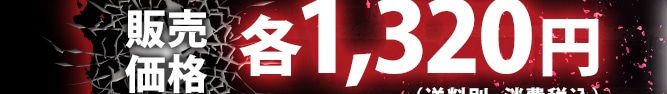 �̔����i�e1,320�~�i�����ʁE����ō��j
