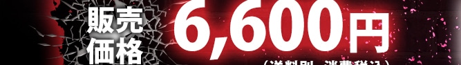 �̔����i6,600�~�i�����ʁE����ō��j