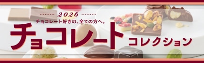 �Q�O�Q�U�N�@�`���R���[�g�R���N�V�����E�o�����^�C��