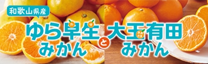 QOQTN@瑁݂񁕑ʗLc݂ikE֓EE֓EMzEkEߋEj