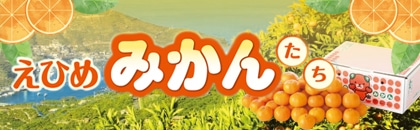 小～中玉えひめみかん｜郵便局のネットショップ