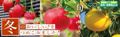 �Q�O�Q�U�N�@�~�̂��������I���߂��݂܂����I