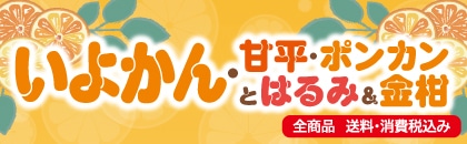 �Q�O�Q�U�N�@���悩��E�Õ��E�|���J���Ƃ͂�݁������i���k�E�֓��E�����E��֓��E�M�z�E���C�E�ߋE�E�l���j