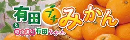 2025年 有田プチみかん・糖度選別有田みかん(近畿)