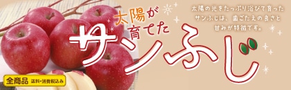 �Q�O�Q�U�N�@���z����Ă��T���ӂ��i�ߋE�j