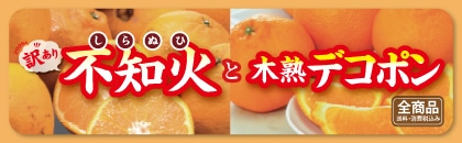 �󂠂�s�m�΂Ɩ؏n�f�R�|��