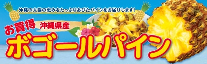 �Q�O�Q�U�N�@���������{�S�[���p�C���i�֓��E�����E�ߋE�E�l���E��B�j