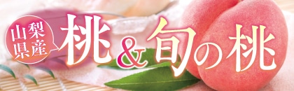 �Q�O�Q�U�N�@�R�����Y�����{�̓�