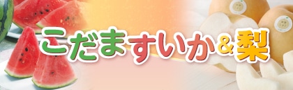 �Q�O�Q�U�N�@�����܂����������i�֓��E�����E��֓��E���C�E�ߋE�j
