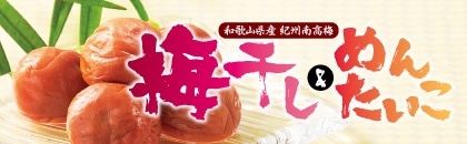 �Q�O�Q�U�N�@�~�������߂񂽂����i����j