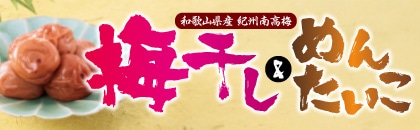 �Q�O�Q�U�N�@�~�������߂񂽂����i�����j