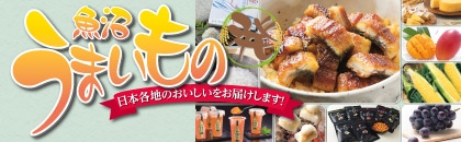 �Q�O�Q�U�N�x�@�������܂����̔�