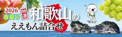 �Q�O�Q�U�N�@���I�@�a�̎R�̂�������l�����@�t�č��i�ߋE�E�֓��E�����E��֓��j