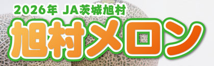 �Q�O�Q�U�N�@�����������i�֓��j