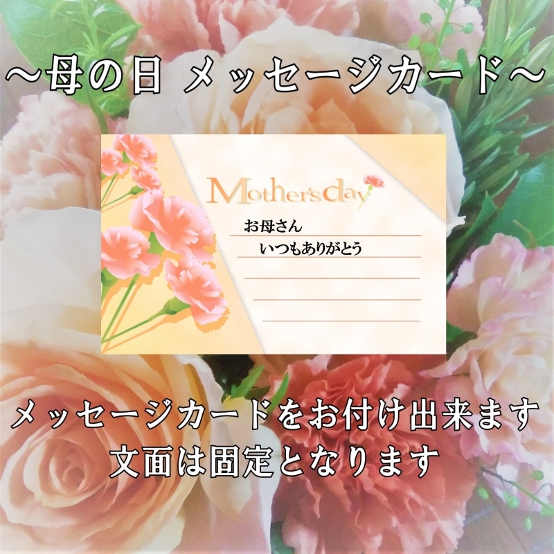 ��̓����b�Z�[�W�J�[�h