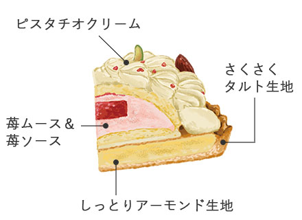 クリスマス特集21 クリスマスギフトの通販なら郵便局のネットショップ 郵便局のネットショップ