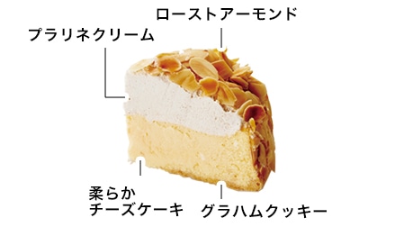 <岩瀬牧場>プラリネクリームとアーモンドのチーズケーキ