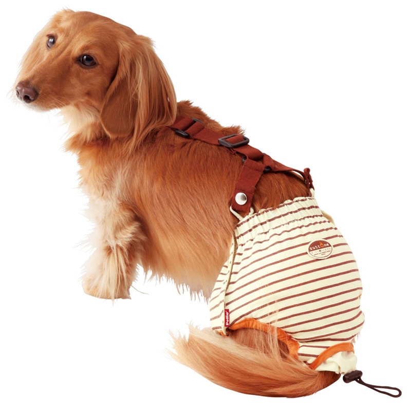 yiЉzyeBI zuttone Ƃ Vp ނpcK M