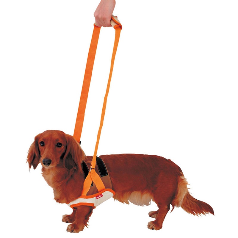 yeBI zuttone Ƃ Vp s⏕n[lX OpK M